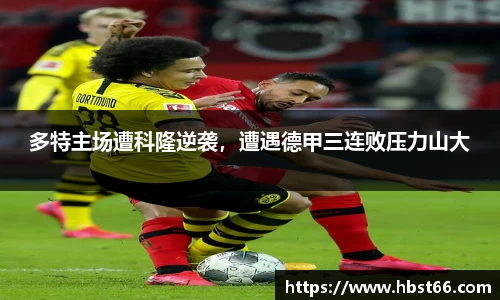 星欧娱乐下载官网
