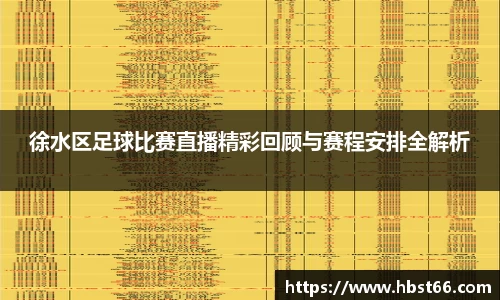 徐水区足球比赛直播精彩回顾与赛程安排全解析