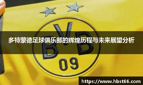 多特蒙德足球俱乐部的辉煌历程与未来展望分析